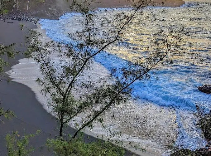 Kehena Mauka Nui Club Lgbtqia+ Clothing Optional Bed & Breakfast Pahoa