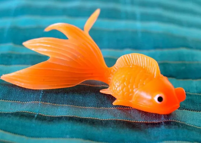 Waikiki Circle Hotel By Castle Honolulu