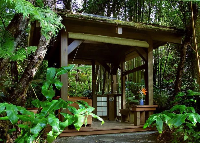 Volcano Rainforest Retreat