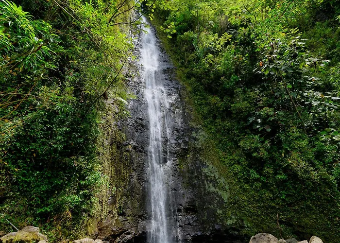 Pacific Monarch - 1 Bedroom - Ocean And City Views! Honolulu
